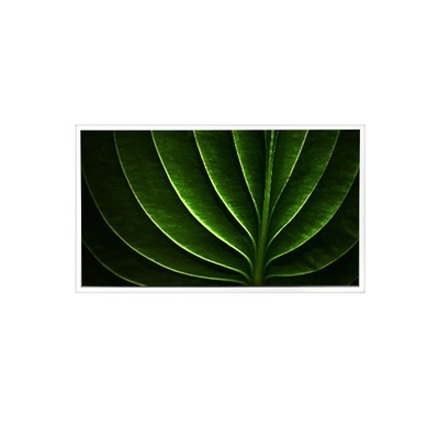 Καλή τιμή TAD201-001 20,1 ιντσών 1600*1200 450 cd/m2 60Hz οθόνη LCD για βιομηχανικό σε απευθείας σύνδεση