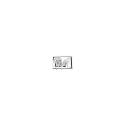 Καλή τιμή 8.8 ιντσών 768*768 TPA088-001V02 16.7M 71% NTSC LCD Panel για Βιομηχανικό σε απευθείας σύνδεση