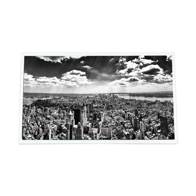 Καλή τιμή 22.0 ίντσες G220SW01 V1 1680*1050 2000:1 LVDS LCD οθόνη σε απευθείας σύνδεση