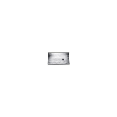 Καλή τιμή 640*480 3,5 ιντσών PD035VX1 262K οθόνη LCD για προβολέα σε απευθείας σύνδεση