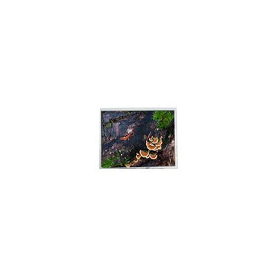 Καλή τιμή 5.7 ιντσών PD057VU8 640*480 60Hz οθόνη LCD για βιομηχανικό σε απευθείας σύνδεση
