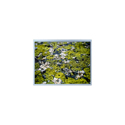 Καλή τιμή 1024*768 12,1 ιντσών PD121XL9 4S6P WLED 60Hz LCD οθόνη σε απευθείας σύνδεση