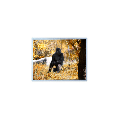 Καλή τιμή Πίνακας οθόνης LCD 7,0 ιντσών 800 * 480 PW070WX2 σε απευθείας σύνδεση