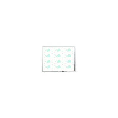 Καλή τιμή AM-800480L1TMQW-T00H 800*480 5,0 ιντσών PCAP 45 πιν LCD Panel σε απευθείας σύνδεση