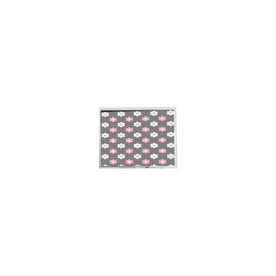 Καλή τιμή AM-800480L6TMQW-00H 800*480 5,0 ιντσών 800 cd/m2 οθόνη LCD σε απευθείας σύνδεση