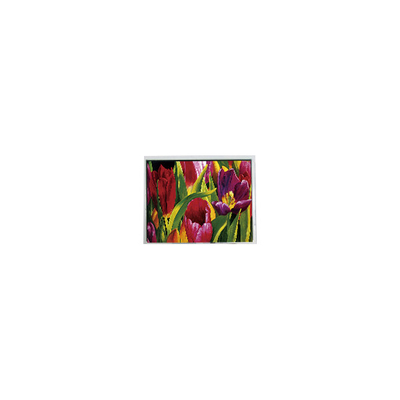 Καλή τιμή AM-800480LATMQW-TN0H-L 800*480 5,0 ιντσών 3S6P WLED LCD Panel σε απευθείας σύνδεση