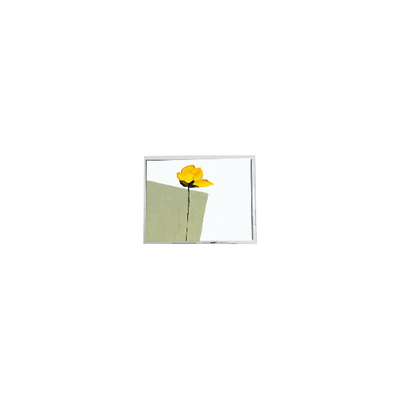 Καλή τιμή Νέο 800*480 AM-800480N3TZQW-00H 5.0 ιντσών LCD Panel για οθόνη αυτοκινήτου σε απευθείας σύνδεση