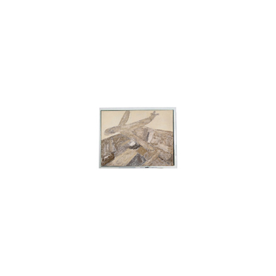 Καλή τιμή 800*480 5,0 ιντσών AM-800480N3TZQW-30H LVDS 40 πιν LCD οθόνη σε απευθείας σύνδεση