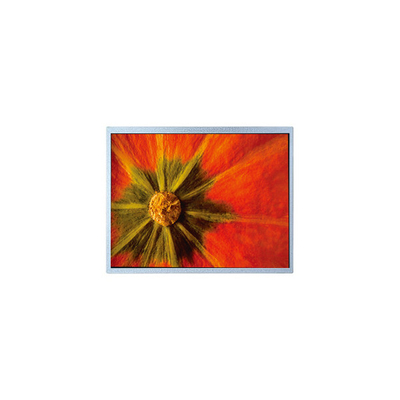 Καλή τιμή Αρχική οθόνη 1024*600 AM-1024600LTMQW-T05H-A TFT LCD σε απευθείας σύνδεση