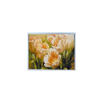 Καλή τιμή 9.0 ίντσες 1024*600 AM-1024600Y2TZQW-A0H TFT 1200 cd/m2 Πίνακας οθόνης LCD σε απευθείας σύνδεση