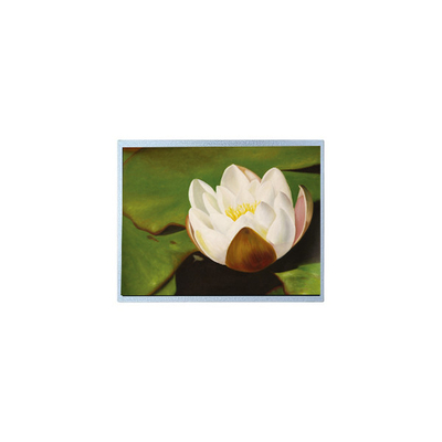Καλή τιμή AM-1024768M2TMQW-T06H 1024*768 10,4 ιντσών PCAP TFT LCD οθόνη Μέρη σε απευθείας σύνδεση