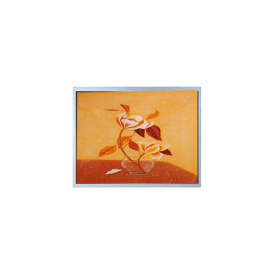 Καλή τιμή ΝΕΑ 15,0 ιντσών AM-1024768Q2TMQW-00H TFT LCD οθόνη για βιομηχανική σε απευθείας σύνδεση