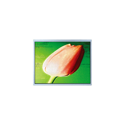 Καλή τιμή Αρχική 10,4 ιντσών AM-1024768T1TMQW-T00H TFT 262K LCD οθόνη σε απευθείας σύνδεση
