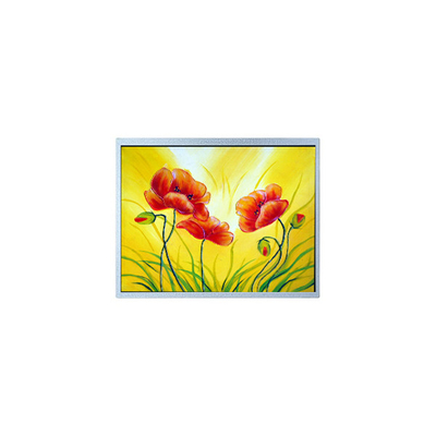 Καλή τιμή AM-1280800W2TZQW-00H 10,1 ιντσών οθόνη LCD για εξωτερική υψηλή φωτεινότητα σε απευθείας σύνδεση
