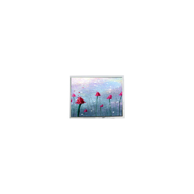 Καλή τιμή 5.2 ιντσών DMF5005N-SEW-ABE-CP 240*64 70Hz οθόνη LCD σε απευθείας σύνδεση