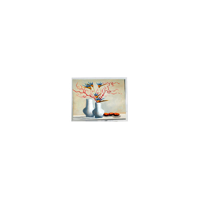 Καλή τιμή ΝΕΟ 5,2 ιντσών DMF5010NB-FW-BC 400 cd/m2 LCD οθόνη οθόνης σε απευθείας σύνδεση