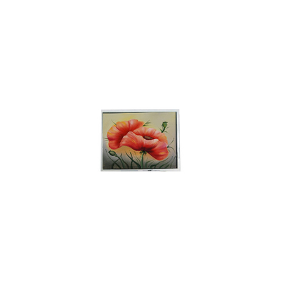 Καλή τιμή DMF5010NF-FW 240*64 5,2 ιντσών LCD Panel Βιομηχανική οθόνη σε απευθείας σύνδεση