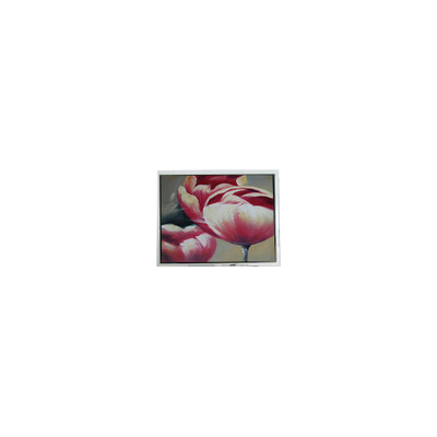 Καλή τιμή Αρχικό 240*64 DMF5010NF-FW-BE 5,2 ιντσών 70Hz LCD Panel σε απευθείας σύνδεση