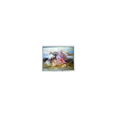 Καλή τιμή Αρχικό 9.6 ιντσών 640*200 DMF-50036ZNFU-FW LCD Panel για Βιομηχανικό σε απευθείας σύνδεση