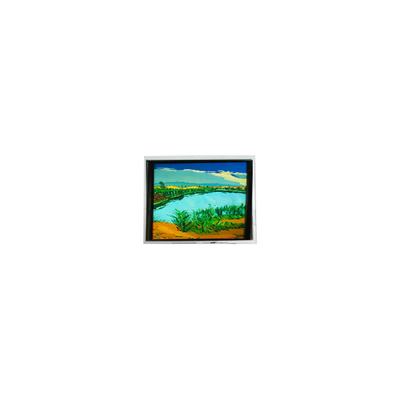 Καλή τιμή DMF-50316NF-FW-1 240*64 5,2 ιντσών 130 cd/m2 οθόνη LCD σε απευθείας σύνδεση