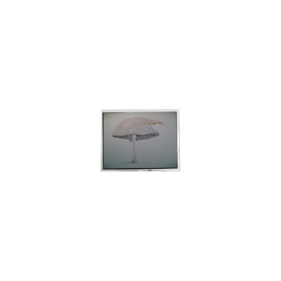 Καλή τιμή 9.4 ίντσες DMF-51043NFU-FW 640*480 LCD οθόνη Πίνακα σε απευθείας σύνδεση
