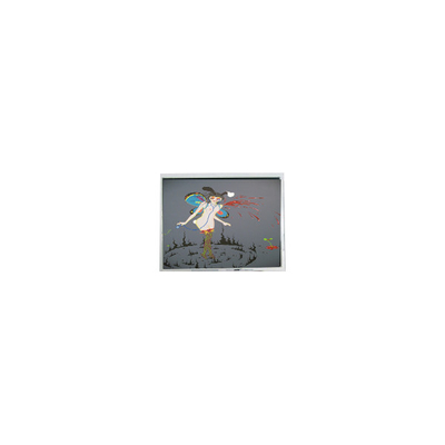Καλή τιμή Αρχική οθόνη LCD WLED 5,2 ιντσών 240*64 F-51405GNB-LW-ANN σε απευθείας σύνδεση