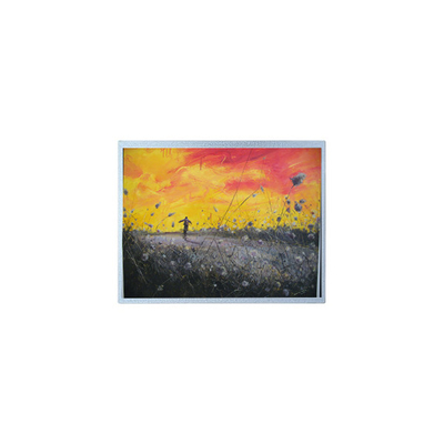 Καλή τιμή F-55157GNB-FW-APN 320*240 5,7 ιντσών οθόνη LCD οθόνης οθόνης σε απευθείας σύνδεση