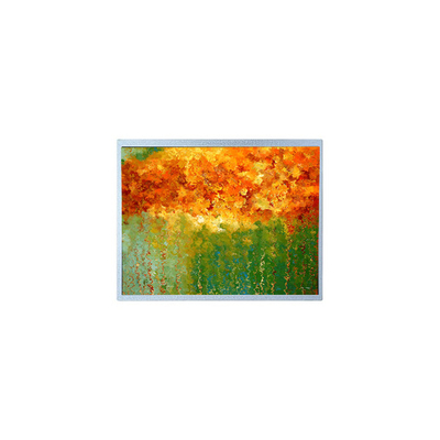 Καλή τιμή 7.0 ιντσών T-51383L070J-FW-P-AB 480 * 234 οθόνη LCD για φορητό DVD player σε απευθείας σύνδεση