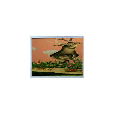 Καλή τιμή 15.0 ιντσών T-51863D150J-FW-A-AE 1024*768 LVDS LCD Monitor Βιομηχανικός σε απευθείας σύνδεση