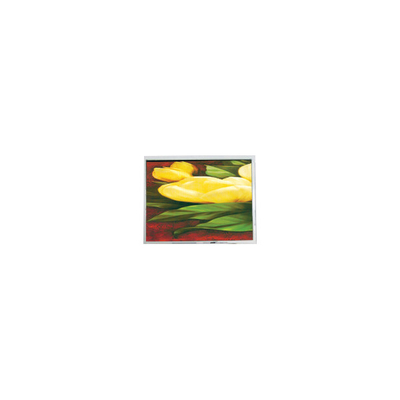 Καλή τιμή ΝΕΑ 5,7 ιντσών T-55265GD057J-LW-ABN 320*240 33 πιν LCD οθόνη σε απευθείας σύνδεση