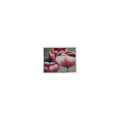 Καλή τιμή ΝΕΑ Τ-55548GD057JU-LW-AAN 5.7 ιντσών 262K LCD οθόνη σε απευθείας σύνδεση