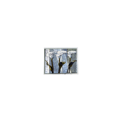 Καλή τιμή 800*480 T-55785GD070J-LW-ADN 7,0 ιντσών 262K οθόνη LCD σε απευθείας σύνδεση