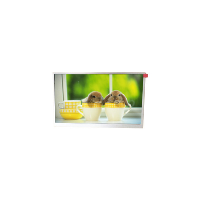 Καλή τιμή TM090RDSG06 9.0 ιντσών οθόνη LCD 800*480 WLED σε απευθείας σύνδεση