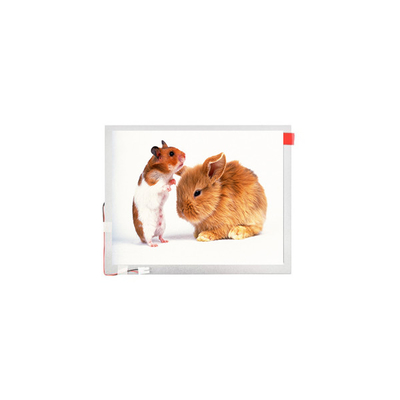 Καλή τιμή 10.1 ίντσες TM101JVHG44-00 LVDS TFT-LCD Panel Screen lcd display σε απευθείας σύνδεση