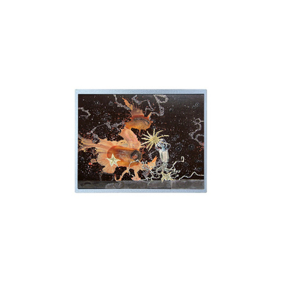 Καλή τιμή 12.1 ιντσών P1210WXF1MA00 1280*800 WLED TFT LCD Panel σε απευθείας σύνδεση