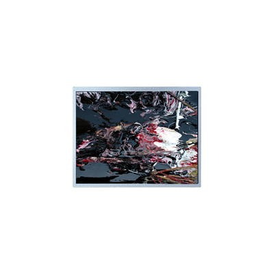 Καλή τιμή P1210WXF1MA01 12.1 ιντσών LVDS TFT LCD Panel Module σε απευθείας σύνδεση