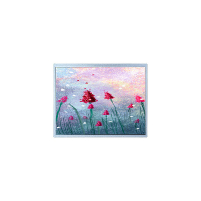Καλή τιμή P1900SXF1MA00 19.0 ιντσών οθόνη TFT LCD για ιατρική απεικόνιση σε απευθείας σύνδεση