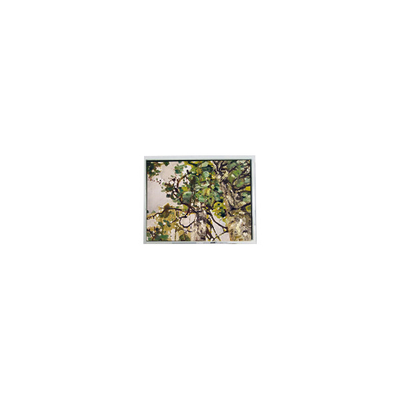 Καλή τιμή CLAA070LFA6 CW 7,0 ιντσών 800*480 οθόνη LCD για αυτοκινητοβιομηχανία σε απευθείας σύνδεση