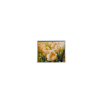 Καλή τιμή σε απόθεμα 5,7 ιντσών ER057005NJ6 320*240 LCD Screen Industrial σε απευθείας σύνδεση