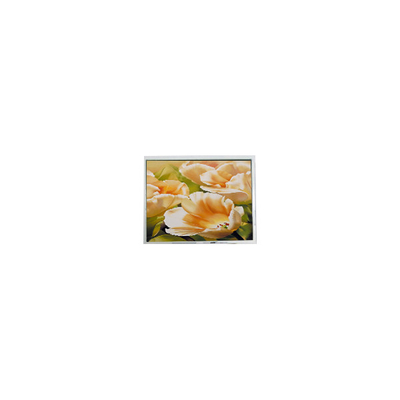 Καλή τιμή ES13BB0FLW 128*64 2,9 ιντσών οθόνη LCD οθόνης LCD μονάδα για όργανα σε απευθείας σύνδεση