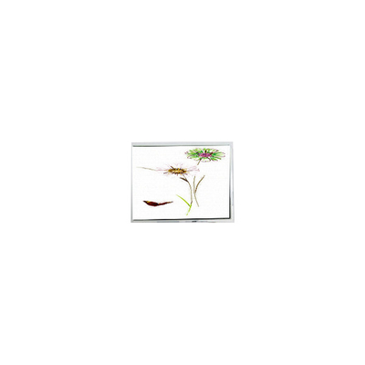 Καλή τιμή ΝΕΑ 240*320 ET028003DHU 2,8 ιντσών οθόνη LCD αφής σε απευθείας σύνδεση