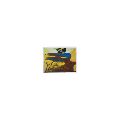 Καλή τιμή Ηλεκτρονική οθόνη WLED LCD 7,0 ιντσών σε απευθείας σύνδεση