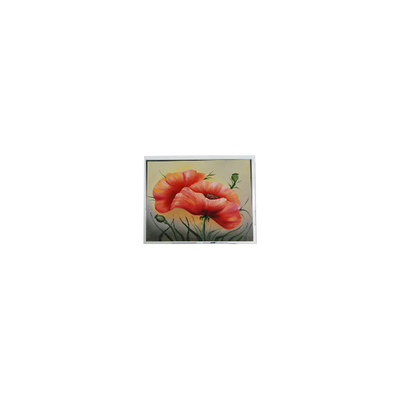 Καλή τιμή νέα 7.0 ιντσών ETM070001BDHA 800*480 PCAP LCD οθόνη Μοντέλο σε απευθείας σύνδεση