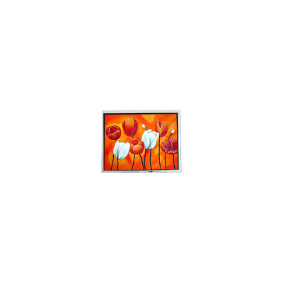 Καλή τιμή EW50397BCW 4,7 ιντσών μικρός 320*240 75Hz lcd οθόνης LCD σε απευθείας σύνδεση