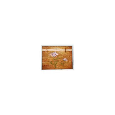 Καλή τιμή μικρός 5,0 ιντσών COM50T5M78GLC 320*240 500 cd/m2 LCD Monitor Panel σε απευθείας σύνδεση