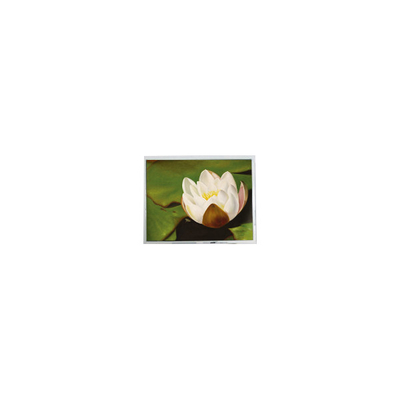 Καλή τιμή 640*480 5,7 ιντσών COM57H5M87KTC 262K 60Hz LCD οθόνη αφής σε απευθείας σύνδεση