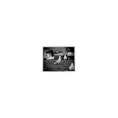 Καλή τιμή σε απόθεμα 3,5 ιντσών 35WVF0HZ2 480*800 οθόνη LCD για χειροκίνητο σε απευθείας σύνδεση