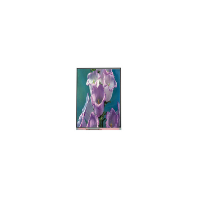Καλή τιμή 70,0 ίντσες C070AWPE-0 800*480 TFT LCD Screen LCD Panel Βιομηχανικό σε απευθείας σύνδεση