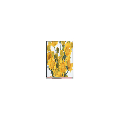 Καλή τιμή C070SWP1 7.0 ιντσών TFT LCD οθόνη Πίνακα για ψηφιακό πλαίσιο φωτογραφίας σε απευθείας σύνδεση
