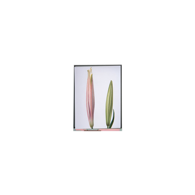 Καλή τιμή C080SWW3-0 8,0 ιντσών TFT LCD οθόνη οθόνης για tablet σε απευθείας σύνδεση